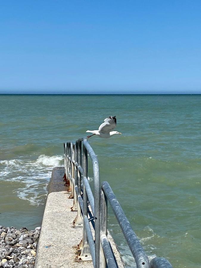 Les Cygnes De Criel-Sur-Mer Exterior foto